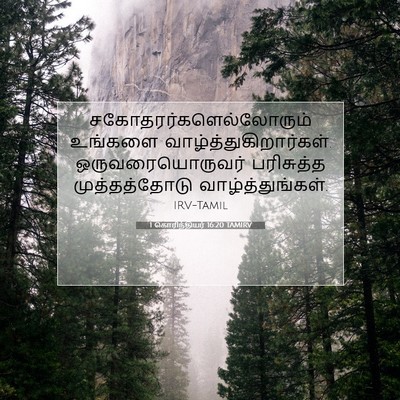 Picture 07 - 1 கொரிந்தியர் 16:20 TAMIRV -  - Bible Verse Picture