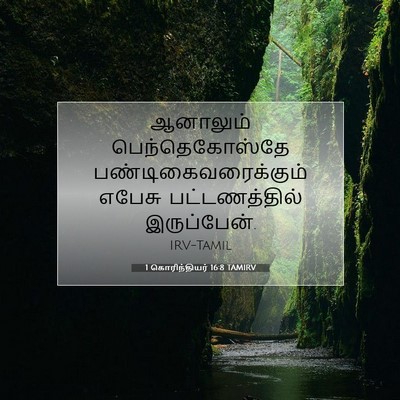 Picture 07 - 1 கொரிந்தியர் 16:8 TAMIRV - ஆனாலும் - Bible Verse Picture