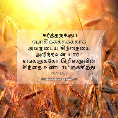 Picture 07 - 1 கொரிந்தியர் 2:16 TAMIRV - “கர்த்தருக்குப் - Bible Verse Picture