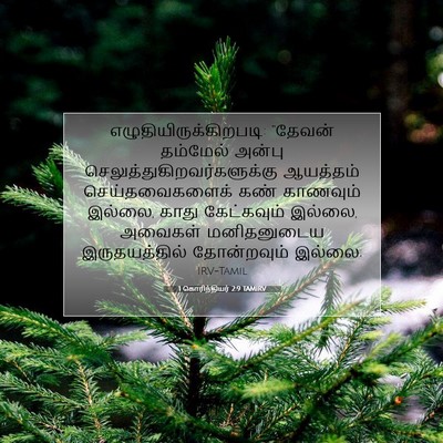 Picture 07 - 1 கொரிந்தியர் 2:9 TAMIRV -  - Bible Verse Picture