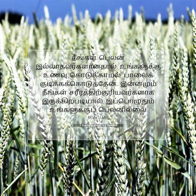 Picture 07 - 1 கொரிந்தியர் 3:2 TAMIRV - நீங்கள் பெலன் - Bible Verse Picture