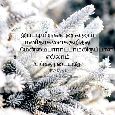 Picture 07 - 1 கொரிந்தியர் 3:21 TAMIRV - இப்படியிருக்க, - Bible Verse Picture