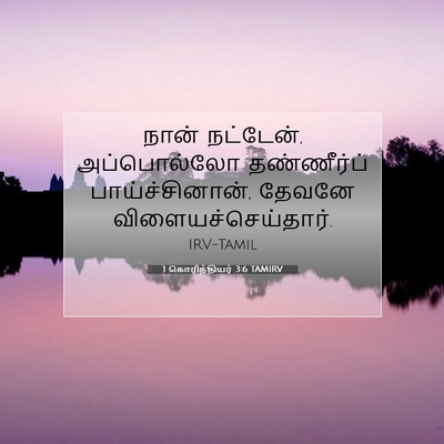 Picture 07 - 1 கொரிந்தியர் 3:6 TAMIRV - நான் நட்டேன், - Bible Verse Picture