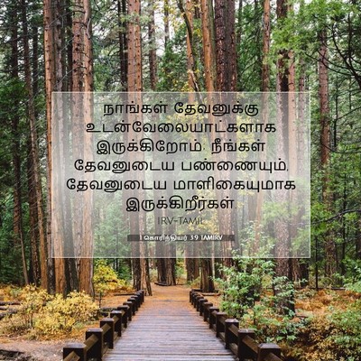 Picture 07 - 1 கொரிந்தியர் 3:9 TAMIRV - நாங்கள் தேவனுக்கு - Bible Verse Picture