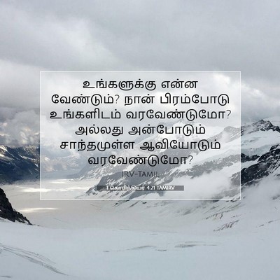 Picture 07 - 1 கொரிந்தியர் 4:21 TAMIRV - உங்களுக்கு என்ன - Bible Verse Picture
