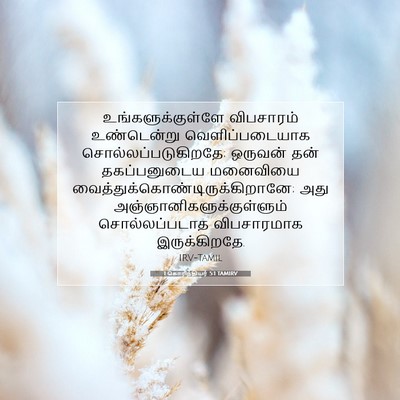 Picture 07 - 1 கொரிந்தியர் 5:1 TAMIRV - உங்களுக்குள்ளே - Bible Verse Picture