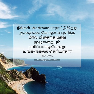 Picture 07 - 1 கொரிந்தியர் 5:6 TAMIRV - நீங்கள் - Bible Verse Picture