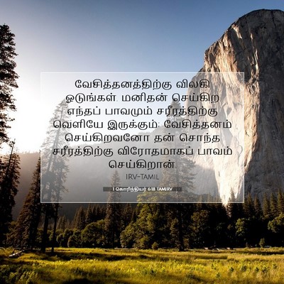 Picture 07 - 1 கொரிந்தியர் 6:18 TAMIRV - வேசித்தனத்திற்கு - Bible Verse Picture