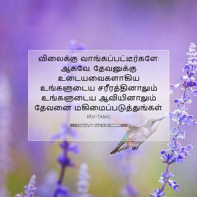 Picture 07 - 1 கொரிந்தியர் 6:20 TAMIRV - விலைக்கு - Bible Verse Picture