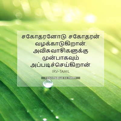 Picture 07 - 1 கொரிந்தியர் 6:6 TAMIRV - சகோதரனோடு சகோதரன் - Bible Verse Picture