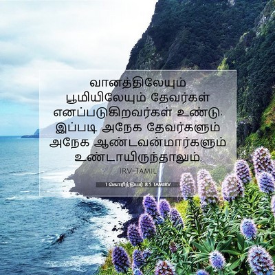 Picture 07 - 1 கொரிந்தியர் 8:5 TAMIRV - வானத்திலேயும் - Bible Verse Picture