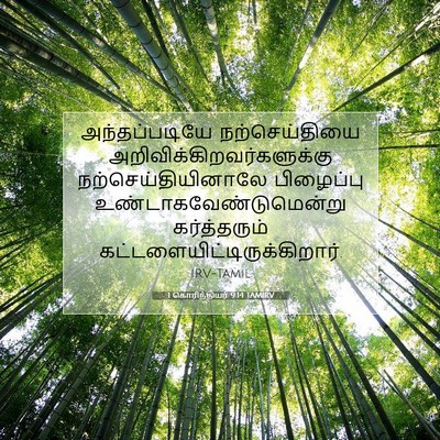 Picture 07 - 1 கொரிந்தியர் 9:14 TAMIRV - அந்தப்படியே - Bible Verse Picture