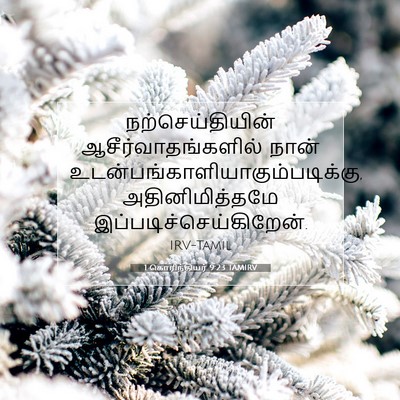 Picture 07 - 1 கொரிந்தியர் 9:23 TAMIRV - நற்செய்தியின் - Bible Verse Picture