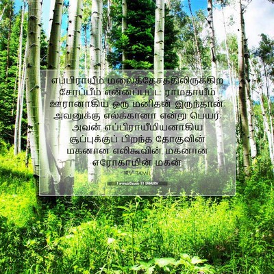 Picture 07 - 1 சாமுவேல் 1:1 TAMIRV - எப்பிராயீம் - Bible Verse Picture