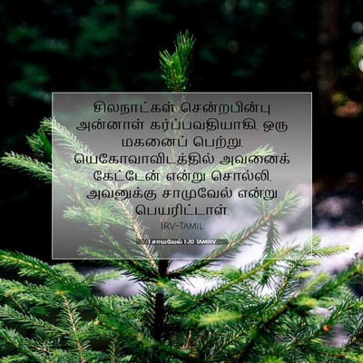Picture 07 - 1 சாமுவேல் 1:20 TAMIRV - சிலநாட்கள் - Bible Verse Picture