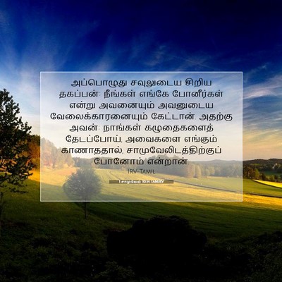 Picture 07 - 1 சாமுவேல் 10:14 TAMIRV - அப்பொழுது - Bible Verse Picture