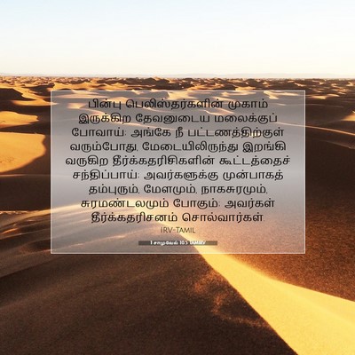 Picture 07 - 1 சாமுவேல் 10:5 TAMIRV - பின்பு - Bible Verse Picture