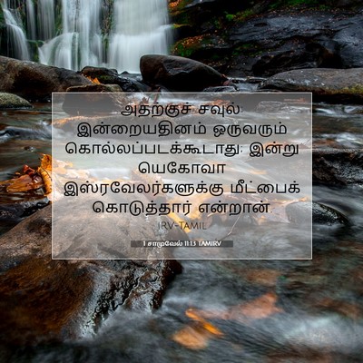 Picture 07 - 1 சாமுவேல் 11:13 TAMIRV - அதற்குச் சவுல்: - Bible Verse Picture