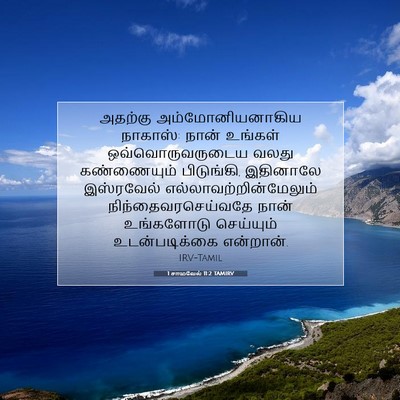 Picture 07 - 1 சாமுவேல் 11:2 TAMIRV - அதற்கு - Bible Verse Picture