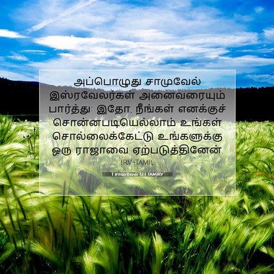 Picture 07 - 1 சாமுவேல் 12:1 TAMIRV - அப்பொழுது - Bible Verse Picture