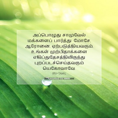 Picture 07 - 1 சாமுவேல் 12:6 TAMIRV - அப்பொழுது - Bible Verse Picture