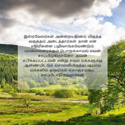 Picture 07 - 1 சாமுவேல் 14:24 TAMIRV - இஸ்ரவேலர்கள் - Bible Verse Picture