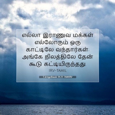 Picture 07 - 1 சாமுவேல் 14:25 TAMIRV - எல்லா இராணுவ - Bible Verse Picture