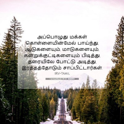 Picture 07 - 1 சாமுவேல் 14:32 TAMIRV - அப்பொழுது மக்கள் - Bible Verse Picture