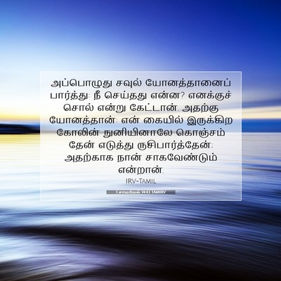 Picture 07 - 1 சாமுவேல் 14:43 TAMIRV - அப்பொழுது சவுல் - Bible Verse Picture