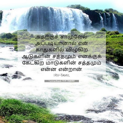 Picture 07 - 1 சாமுவேல் 15:14 TAMIRV - அதற்குச் - Bible Verse Picture