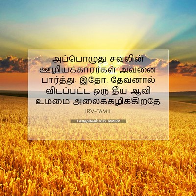 Picture 07 - 1 சாமுவேல் 16:15 TAMIRV - அப்பொழுது சவுலின் - Bible Verse Picture