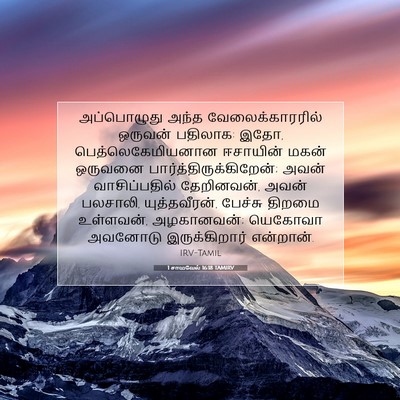 Picture 07 - 1 சாமுவேல் 16:18 TAMIRV - அப்பொழுது அந்த - Bible Verse Picture
