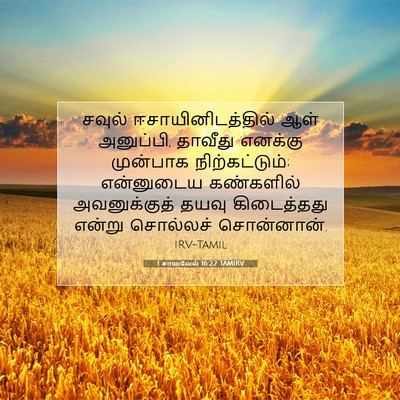 Picture 07 - 1 சாமுவேல் 16:22 TAMIRV - சவுல் - Bible Verse Picture