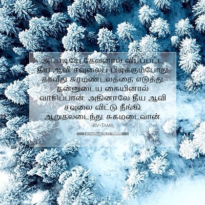 Picture 07 - 1 சாமுவேல் 16:23 TAMIRV - அப்படியே தேவனால் - Bible Verse Picture