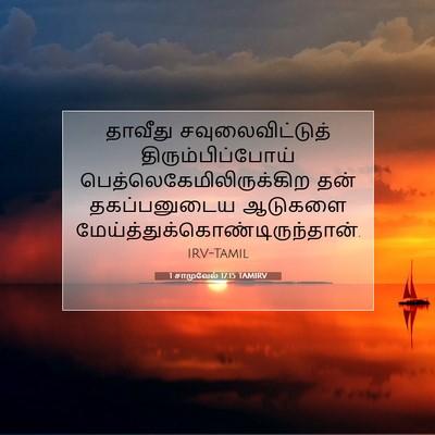 Picture 07 - 1 சாமுவேல் 17:15 TAMIRV - தாவீது - Bible Verse Picture