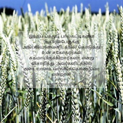 Picture 07 - 1 சாமுவேல் 17:18 TAMIRV - இந்தப் பத்துப் - Bible Verse Picture