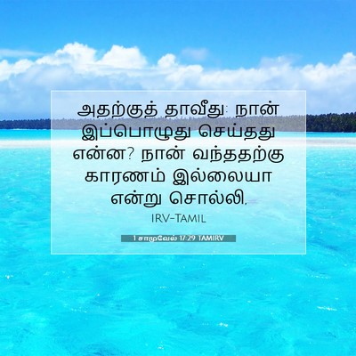Picture 07 - 1 சாமுவேல் 17:29 TAMIRV - அதற்குத் தாவீது: - Bible Verse Picture