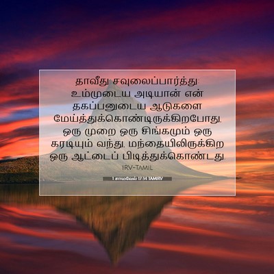 Picture 07 - 1 சாமுவேல் 17:34 TAMIRV - தாவீது - Bible Verse Picture