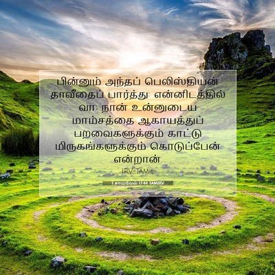 Picture 07 - 1 சாமுவேல் 17:44 TAMIRV - பின்னும் அந்தப் - Bible Verse Picture