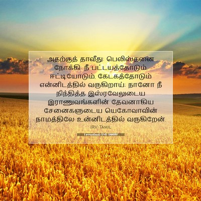 Picture 07 - 1 சாமுவேல் 17:45 TAMIRV - அதற்குத் தாவீது: - Bible Verse Picture