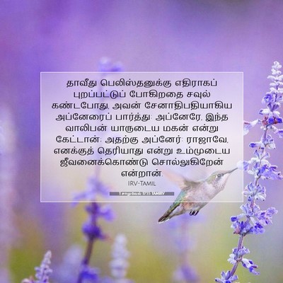 Picture 07 - 1 சாமுவேல் 17:55 TAMIRV - தாவீது - Bible Verse Picture