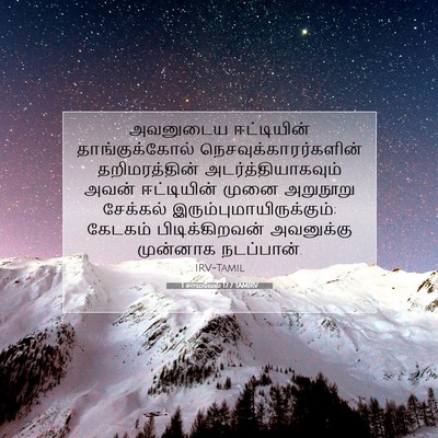 Picture 07 - 1 சாமுவேல் 17:7 TAMIRV - அவனுடைய ஈட்டியின் - Bible Verse Picture