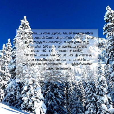 Picture 07 - 1 சாமுவேல் 18:17 TAMIRV - என்னுடைய கை அல்ல, - Bible Verse Picture