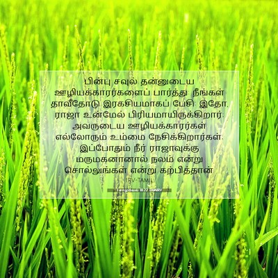 Picture 07 - 1 சாமுவேல் 18:22 TAMIRV - பின்பு சவுல் - Bible Verse Picture