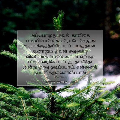 Picture 07 - 1 சாமுவேல் 19:10 TAMIRV - அப்பொழுது சவுல்: - Bible Verse Picture