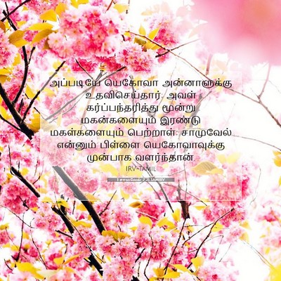 Picture 07 - 1 சாமுவேல் 2:21 TAMIRV - அப்படியே யெகோவா - Bible Verse Picture