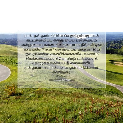 Picture 07 - 1 சாமுவேல் 2:29 TAMIRV - நான் - Bible Verse Picture
