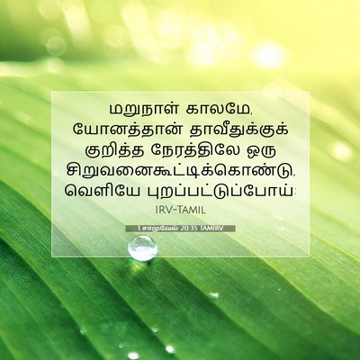 Picture 07 - 1 சாமுவேல் 20:35 TAMIRV - மறுநாள் காலமே, - Bible Verse Picture