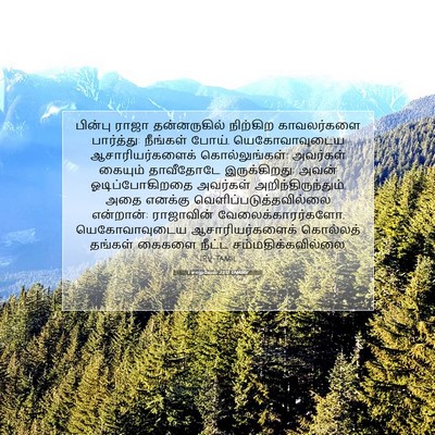 Picture 07 - 1 சாமுவேல் 22:17 TAMIRV - பின்பு ராஜா - Bible Verse Picture