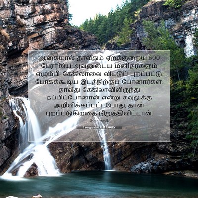 Picture 07 - 1 சாமுவேல் 23:13 TAMIRV - ஆகையால் தாவீதும் - Bible Verse Picture